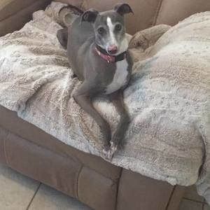 Meet your Posher, Christopher